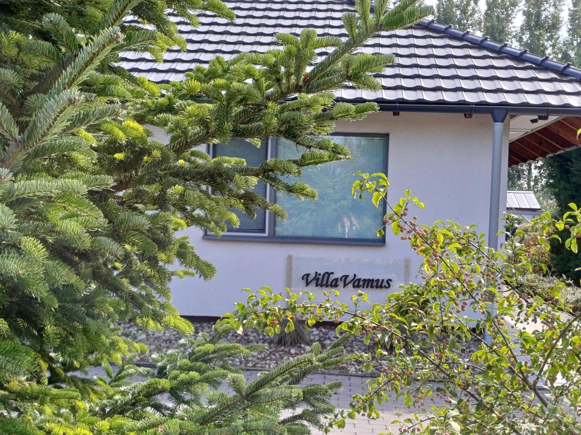 Villa Vamus Vendeg- Es Rendezvenyhaz Vamosszabadi Exterior foto
